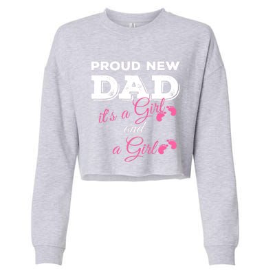 Mens Proud New Dad It's A Girl And Girl Gift Twin Girls Daddy Cropped Pullover Crew