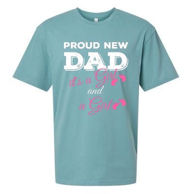 Mens Proud New Dad It's A Girl And Girl Gift Twin Girls Daddy Sueded Cloud Jersey T-Shirt