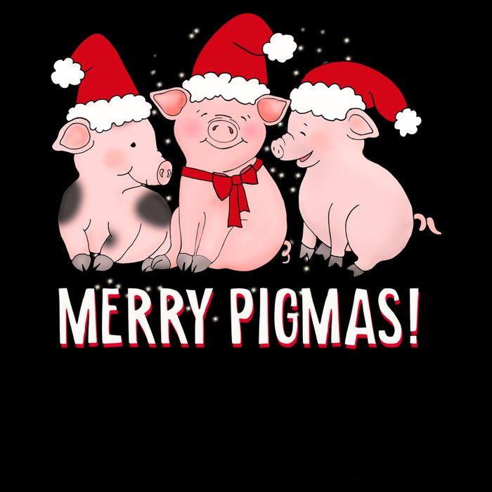 Merry Pigmas Pig Lover Christmas 16 in Basic Backpack