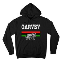 Melanin Pride Pan African Flag Garvey Hoodie