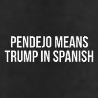 Mexican Protest Pendejo Means Trump In Spanish 7 Panel Mesh Trucker Snapback Hat