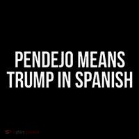 Mexican Protest Pendejo Means Trump In Spanish Flatbill Hat