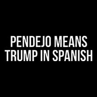 Mexican Protest Pendejo Means Trump In Spanish Poster