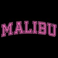 Malibu Pink Retro 16 in Basic Backpack