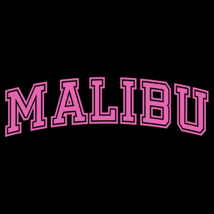 Malibu Pink Retro 16 in Basic Backpack