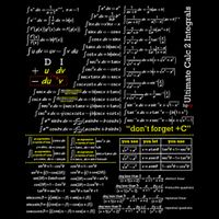 Mathematics Professor Student Ultimate Calculus 2 Integral T-Shirt