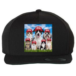 Make Pets Safe Again Democratic Republican Wool Snapback Cap