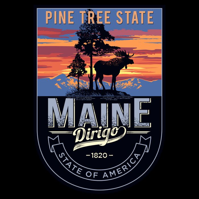 Main Pine Tree State Backpack