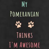 My Pomeranian Thinks IM Awesome Funny Dog Lover Pet Owner 11oz C Handle Ceramic Mug