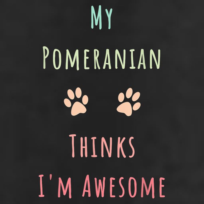 My Pomeranian Thinks IM Awesome Funny Dog Lover Pet Owner 11oz C Handle Ceramic Mug