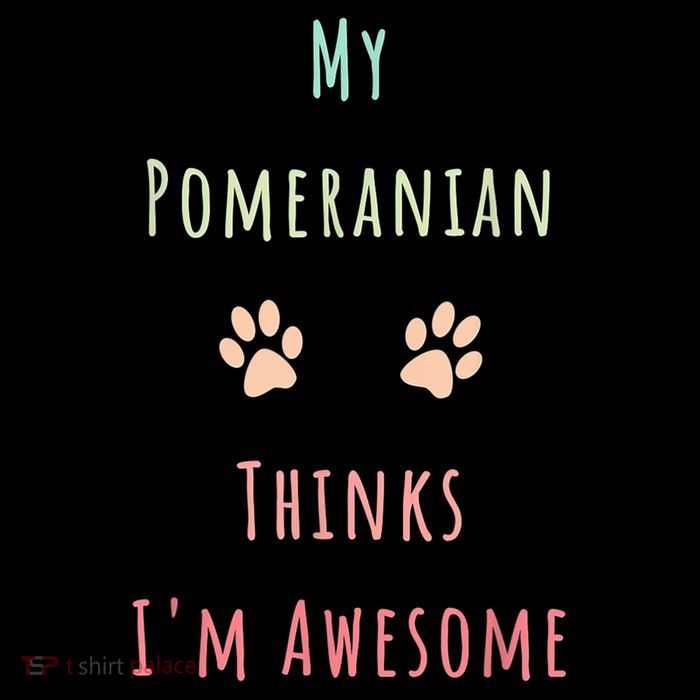 My Pomeranian Thinks IM Awesome Funny Dog Lover Pet Owner Sustainable Beanie