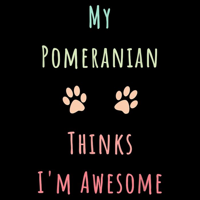 My Pomeranian Thinks IM Awesome Funny Dog Lover Pet Owner Magnet