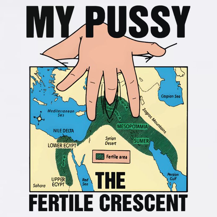 My Pussy The Fertile Crescent Cooling Performance Long Sleeve Crew