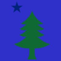 Maine Pine Tree State Flag Pride Patriotic Cool Gift Kids T-Shirt