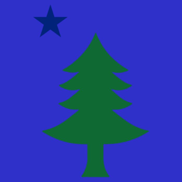 Maine Pine Tree State Flag Pride Patriotic Cool Gift Kids T-Shirt