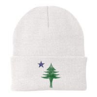 Maine Pine Tree Flag Big Style – Modern 1901 State Flag Beanie