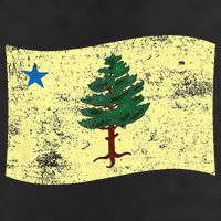Maine Pine Tree Flag 1901 – First State Flag Cool Comfort Performance Bucket Hat