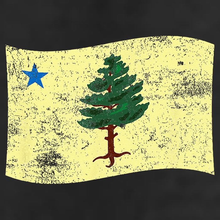 Maine Pine Tree Flag 1901 – First State Flag Cool Comfort Performance Bucket Hat