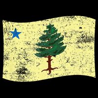 Maine Pine Tree Flag 1901 – First State Flag Sustainable Bucket Hat