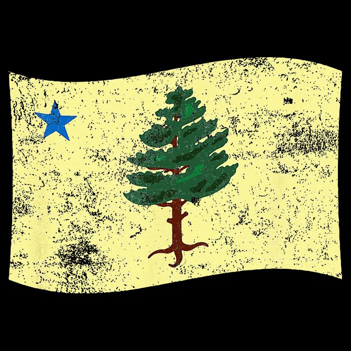 Maine Pine Tree Flag 1901 – First State Flag Sustainable Bucket Hat