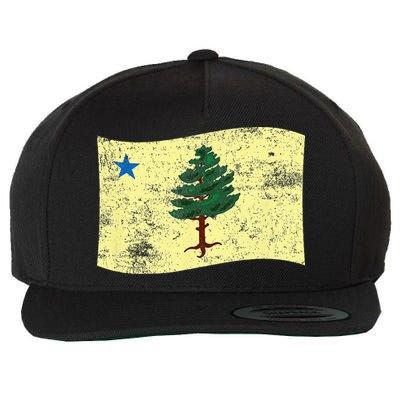 Maine Pine Tree Flag 1901 – First State Flag Wool Snapback Cap