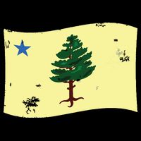 Maine Pine Tree Flag 1901 First State Flag 7-Panel Snapback Hat