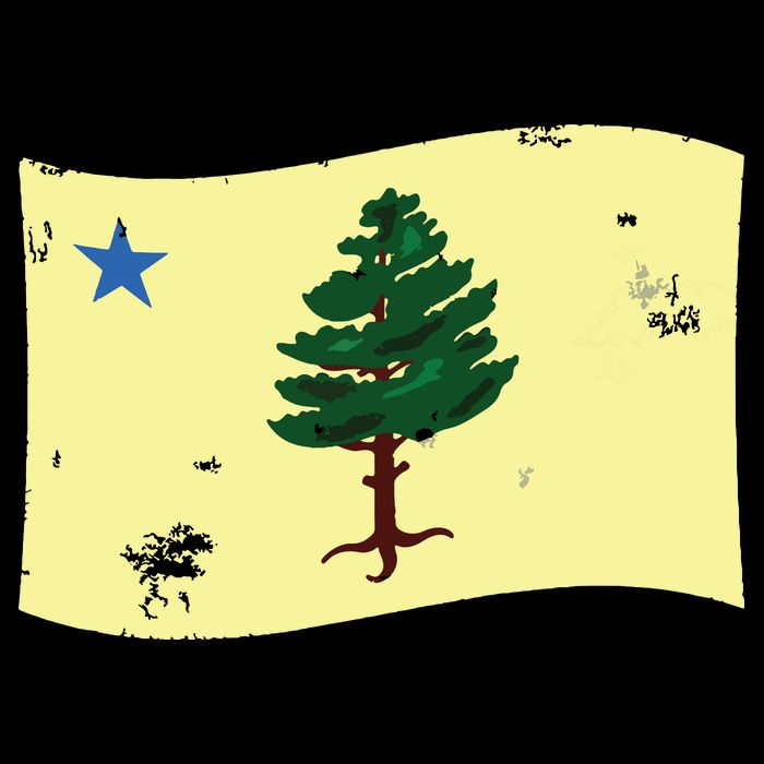 Maine Pine Tree Flag 1901 First State Flag 7-Panel Snapback Hat