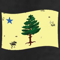 Maine Pine Tree Flag 1901 First State Flag 15oz Campfire Ceramic Mug