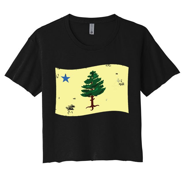 Maine Pine Tree Flag 1901 First State Flag Crop Top