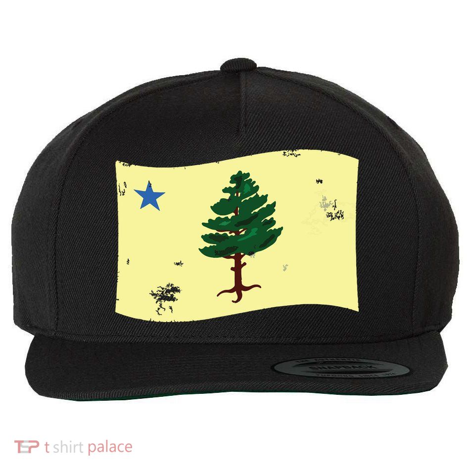 Maine Pine Tree Flag 1901 First State Flag Wool Snapback Cap