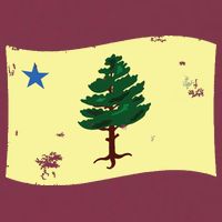 Maine Pine Tree Flag 1901 First State Flag 16oz Travel Tumbler