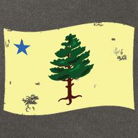Maine Pine Tree Flag 1901 First State Flag Cotton Canvas Backpack