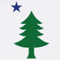 Maine Pine Tree State Flag Pride Patriotic Youth Performance Sprint T-Shirt