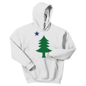 Maine Pine Tree State Flag Pride Patriotic Kids Hoodie