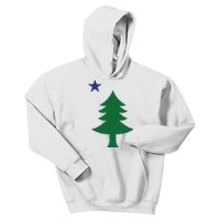 Maine Pine Tree State Flag Pride Patriotic Kids Hoodie