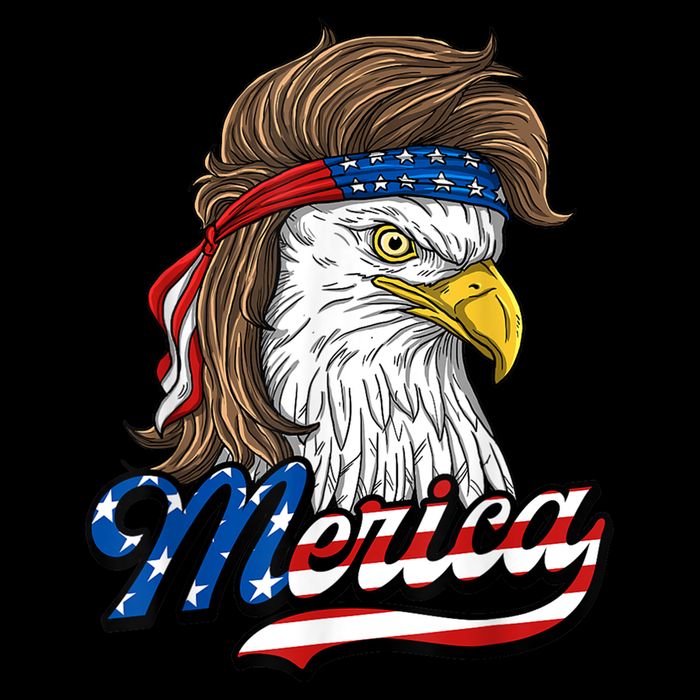 4th of july 16oz Travel Tumbler