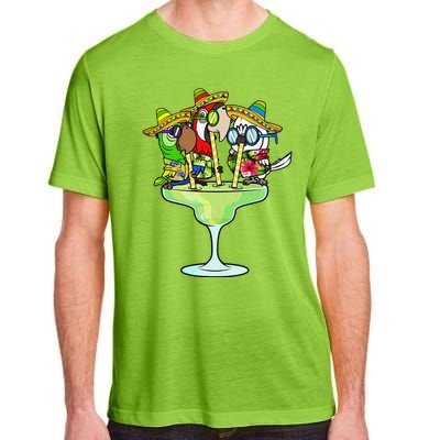 Macaw Parrots With Sombreros Cinco De Mayo Margarita Bird Adult ChromaSoft Performance T-Shirt