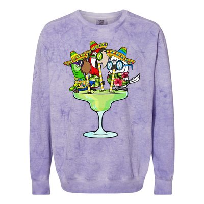 Macaw Parrots With Sombreros Cinco De Mayo Margarita Bird Colorblast Crewneck Sweatshirt