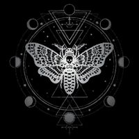 Moon Phases With Moth Blackcraft Clothing Cooling Performance Crew T-Shirt