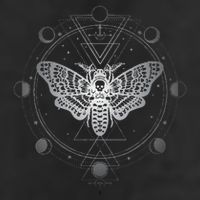 Moon Phases With Moth Blackcraft Clothing Hat