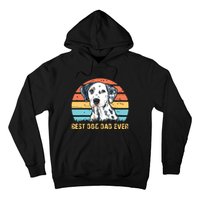 Men Quote Best Dog Dad Ever Vintage Dalmatian Lover Hoodie