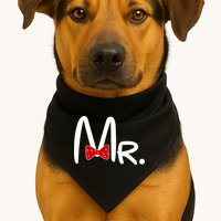 Mr. Bow Tie Cute Matching Couples USA-Made Doggie Bandana