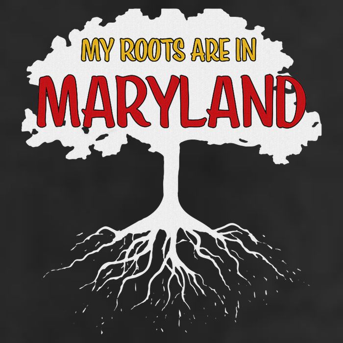My Roots Are In Maryland I Love Maryland Md State Pride Cool Comfort Performance Bucket Hat