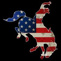 Man Riding Bucking In Rodeo Doggie Tank
