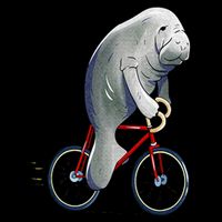 Manatee Riding Bicycle Cute Biker Cyclist Visor