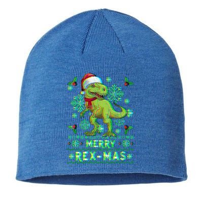 Merry Rexmas Christmas Trex Gift Sustainable Beanie