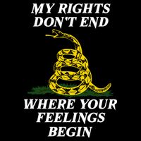 My Rights Dont End Where Your Feelings Begin | Pro Gun Flat Bill Trucker Hat