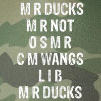 M R Ducks M R Not O S M R C M Wings Duck Lover Funny Duck Legacy Tie Dye Trucker Hat
