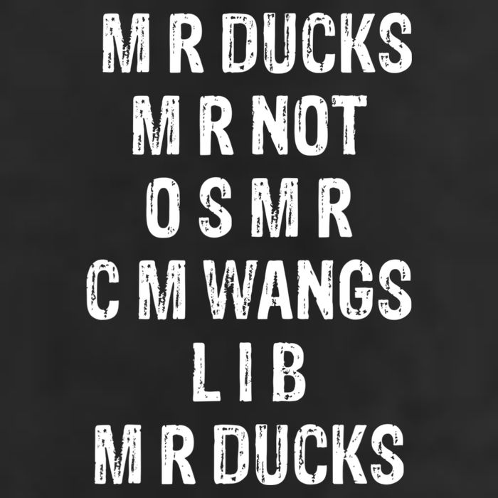M R Ducks M R Not O S M R C M Wings Duck Lover Funny Duck 7 Panel Mesh Trucker Snapback Hat