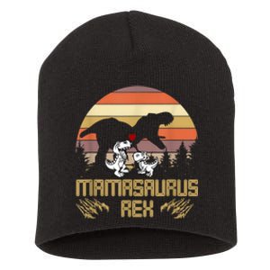 Mamasaurus Rex Dinosaur Dinosaur Children Short Acrylic Beanie